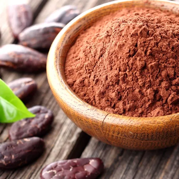 Cacau em pó 100% natural e sem glúten 100g oner 2
